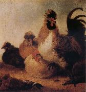 Rooster and Hens, Aelbert Cuyp